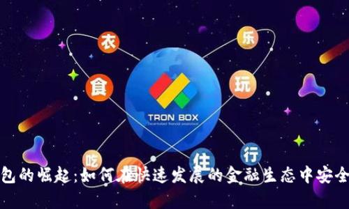 数字货币电子钱包的崛起：如何在快速发展的金融生态中安全存储和管理资产