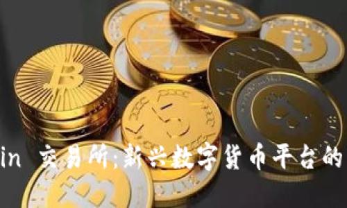 探索 TZCoin 交易所：新兴数字货币平台的特点与优势