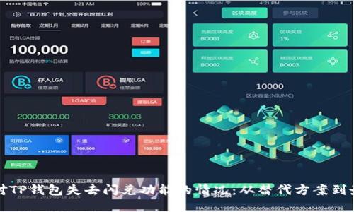 如何应对TP钱包失去闪兑功能的情况：从替代方案到最佳实践