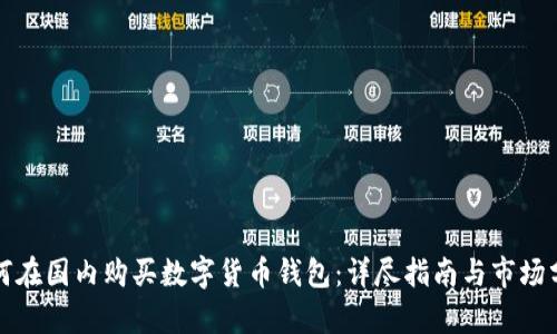 如何在国内购买数字货币钱包：详尽指南与市场分析