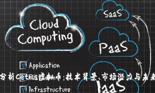 深入分析Cetus虚拟币：技术背景、市场潜力与未来动态