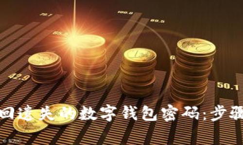 如何有效找回遗失的数字钱包密码：步骤与注意事项