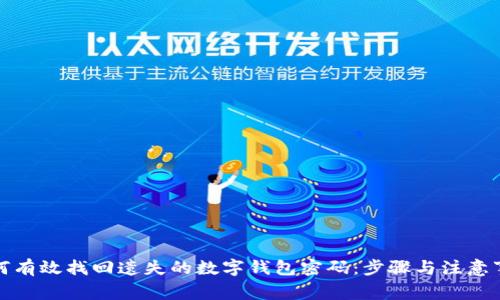 如何有效找回遗失的数字钱包密码：步骤与注意事项