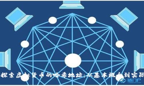 深入探索虚拟货币的哈希地址：从基本概念到实际应用