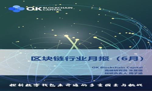 探析数字钱包未开通的多重因素与挑战