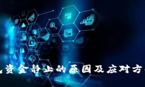 TP钱包资金静止的原因及应对方案分析