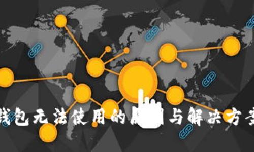 数字钱包无法使用的原因与解决方案详解