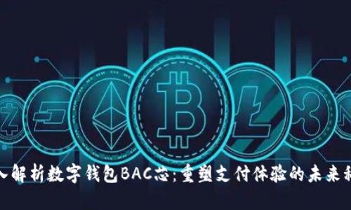 深入解析数字钱包BAC芯：重塑支付体验的未来科技