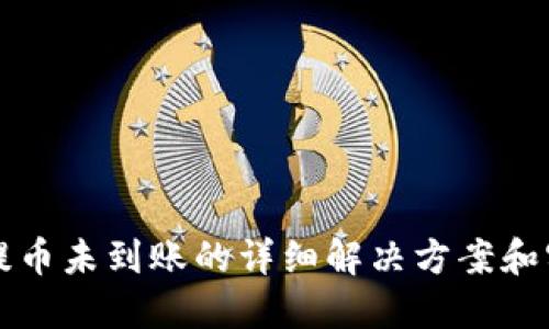 TP钱包提币未到账的详细解决方案和实用指南