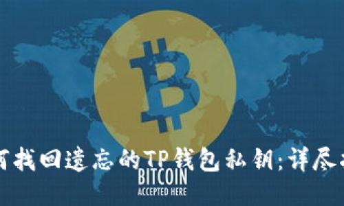 如何找回遗忘的TP钱包私钥：详尽指南