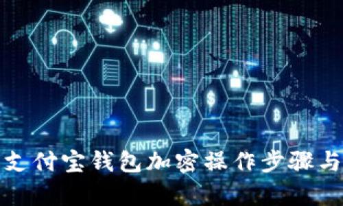 详细解析支付宝钱包加密操作步骤与安全建议