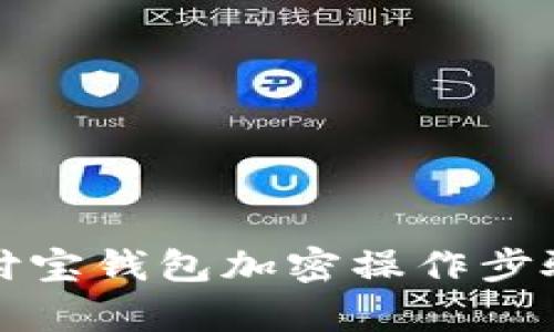 详细解析支付宝钱包加密操作步骤与安全建议