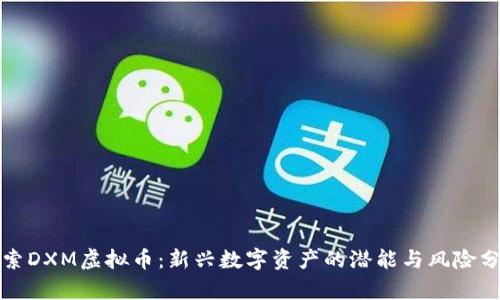 探索DXM虚拟币：新兴数字资产的潜能与风险分析