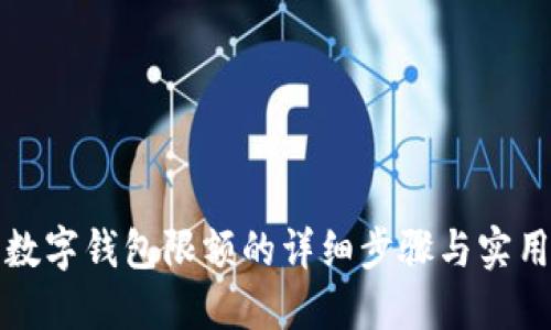 解除数字钱包限额的详细步骤与实用技巧