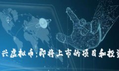2023年新兴虚拟币：即将上市的项目和投资潜力分