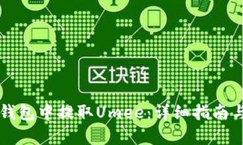 如何在TP钱包中提取Umee：详细指南与步骤解析