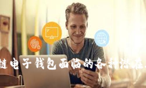 深入解析：区块链电子钱包面临的各种潜在风险与防范措施