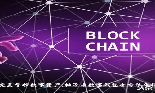 完美掌控数字资产：柚子币数字钱包全方位介绍