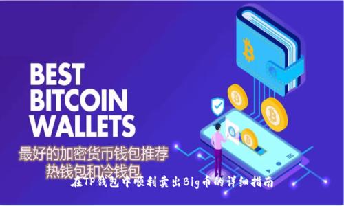 在TP钱包中顺利卖出Big币的详细指南