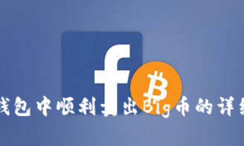 在TP钱包中顺利卖出Big币的详细指南