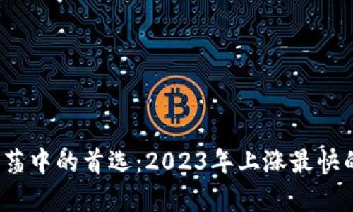 2023年市场动荡中的首选：2023年上涨最快的虚拟货币分析