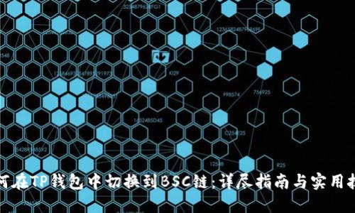 如何在TP钱包中切换到BSC链：详尽指南与实用技巧