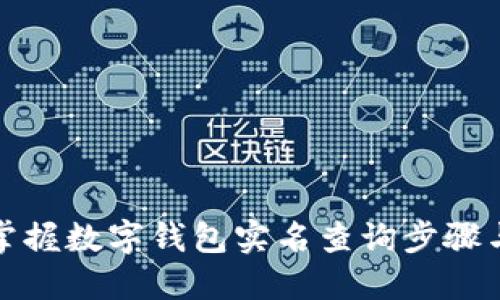 轻松掌握数字钱包实名查询步骤与技巧