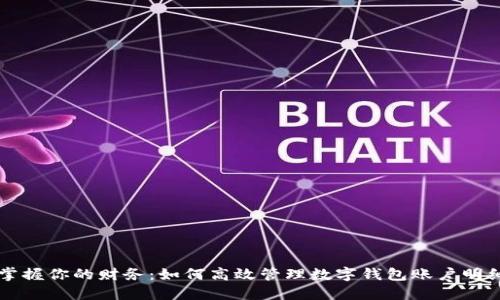 掌握你的财务：如何高效管理数字钱包账户明细