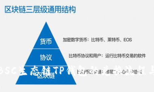 详解BSC生态链TP钱包的兑换流程与技巧