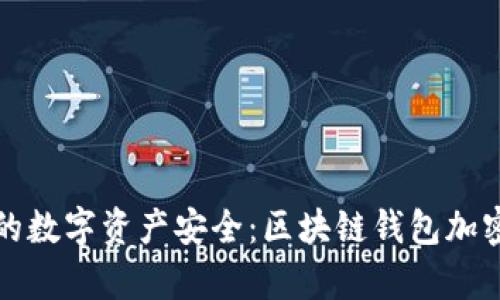 如何保障你的数字资产安全：区块链钱包加密的深入解析