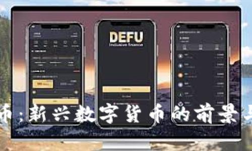 小蚁虚拟币：新兴数字货币的前景与应用分析