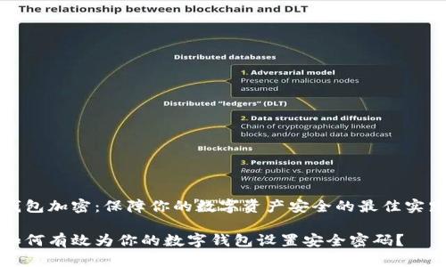 钱包加密：保障你的数字资产安全的最佳实践

如何有效为你的数字钱包设置安全密码？