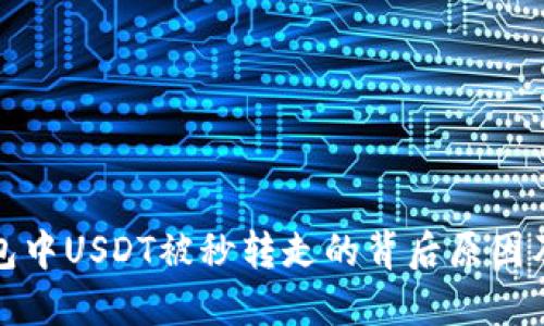 揭秘TP钱包中USDT被秒转走的背后原因及防范措施