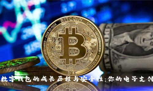 探秘数字钱包的成长历程与安全性：你的电子支付助手