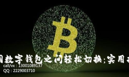 如何在不同数字钱包之间轻松切换：实用指南与技巧