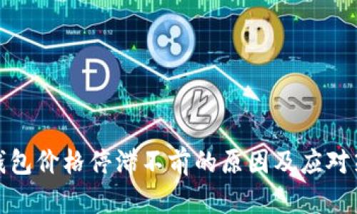 TP钱包价格停滞不前的原因及应对策略