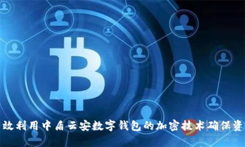 如何有效利用中盾云安数字钱包的加密技术确保资产安全