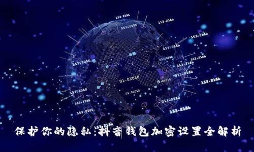保护你的隐私：抖音钱包加密设置全解析