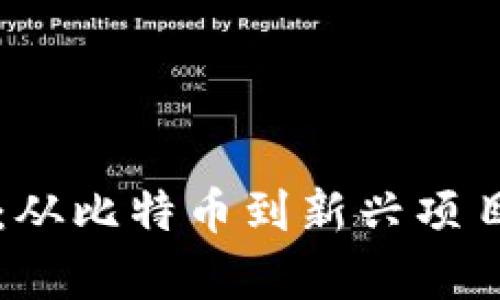 畅谈虚拟币投资：从比特币到新兴项目的收益潜力分析