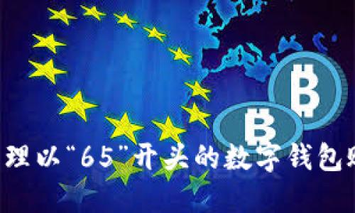 如何使用和管理以“65”开头的数字钱包账号：全面指南