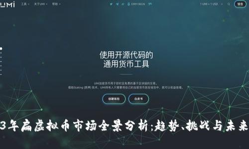 2023年扁虚拟币市场全景分析：趋势、挑战与未来发展