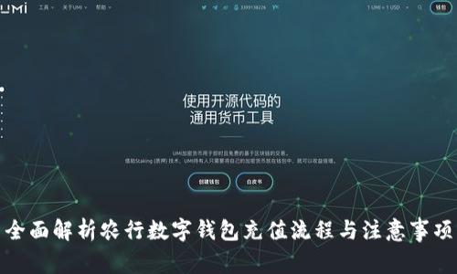全面解析农行数字钱包充值流程与注意事项