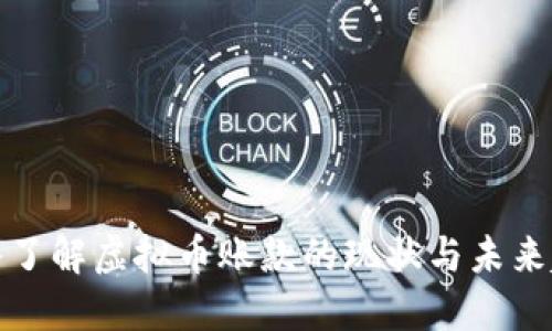 深入了解虚拟币账款的现状与未来趋势
