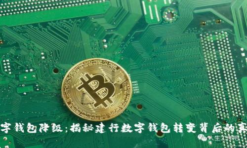 数字钱包降级：揭秘建行数字钱包转变背后的真相