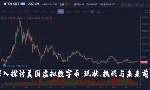 深入探讨美国虚拟数字币：现状、挑战与未来前景