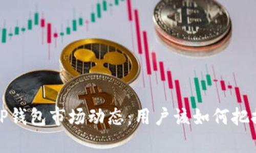 深入解析TP钱包市场动态：用户该如何把握投资机遇