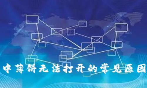 探究TP钱包中薄饼无法打开的常见原因与解决方案