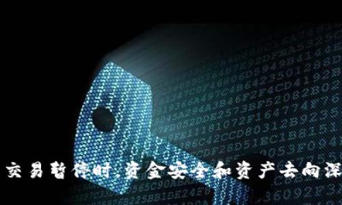 虚拟币交易暂停时，资金安全和资产去向深度解析