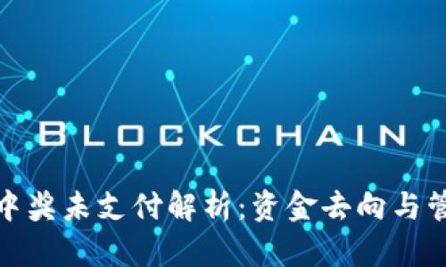 TP钱包中奖未支付解析：资金去向与管理风险