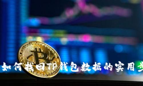 全面指南：如何找回TP钱包数据的实用步骤与技巧